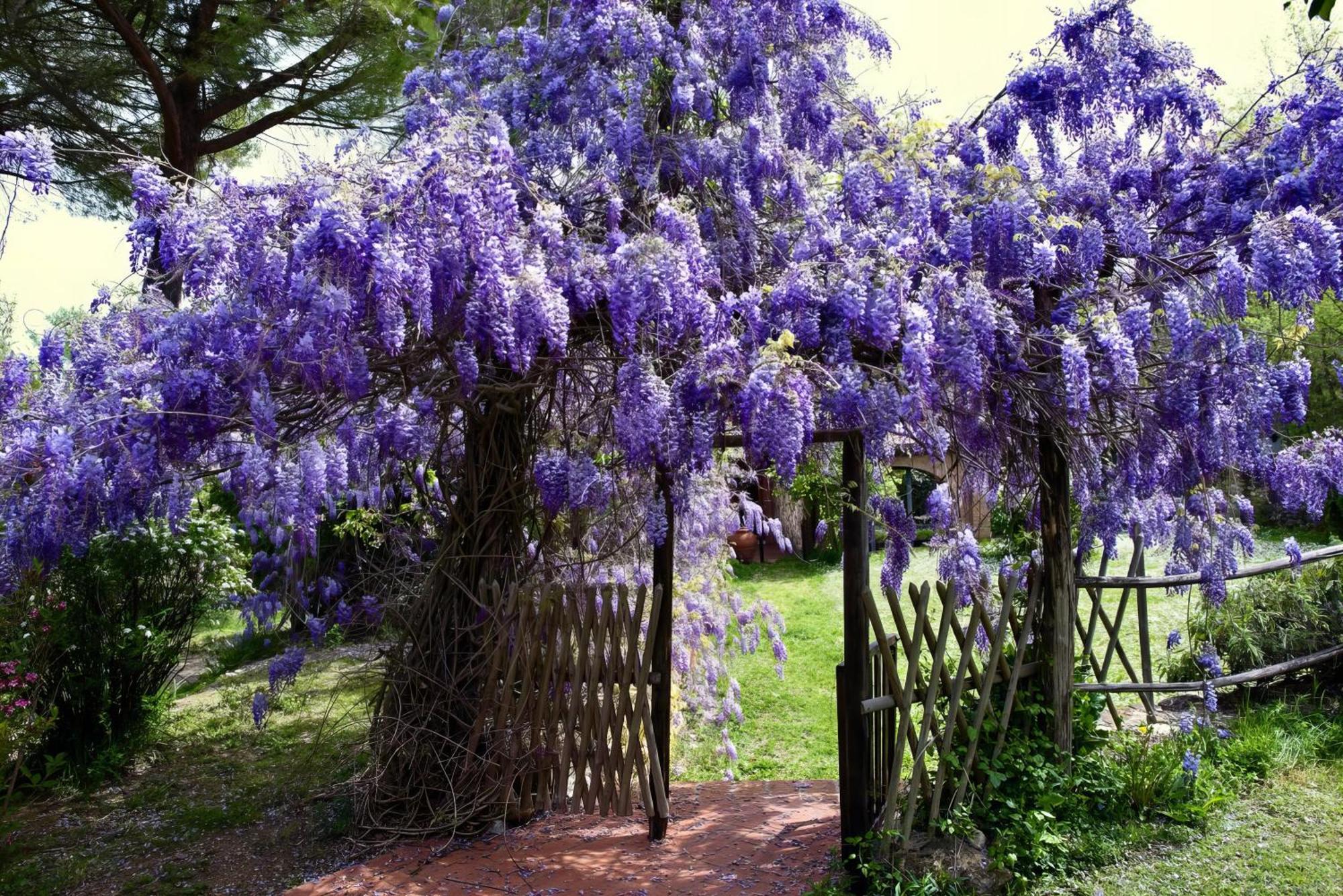 Вілла Molino In Chianti Mercatale Val Di Pesa Екстер'єр фото