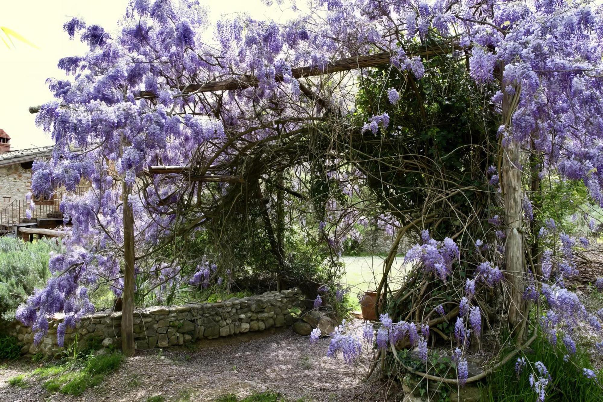 Вілла Molino In Chianti Mercatale Val Di Pesa Екстер'єр фото